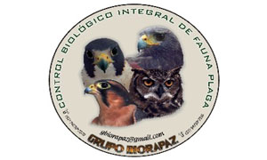 LogoBIORAPAZ
